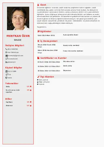 Dalgıç CV Örnekleri cv indir